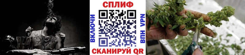 Бошки Шишки план  Няндома 
